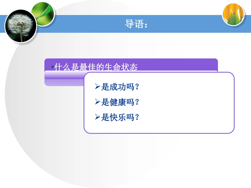 中层领导的最佳生命状态.ppt_第2页