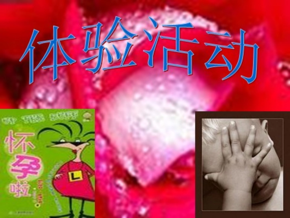 主题班会：亲情教育之尊重母亲，感悟母恩.ppt_第3页