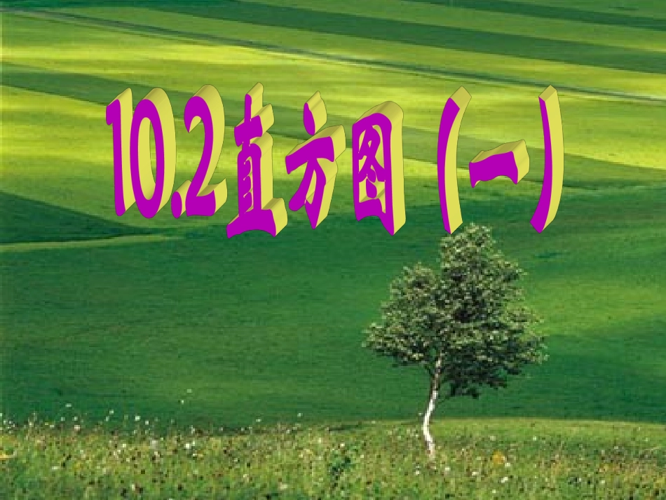 10.2《直方图》（第1课件）.ppt_第1页