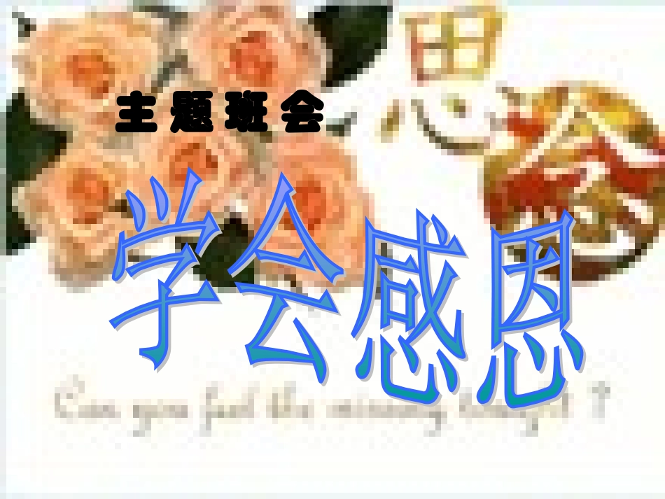 主题班会课件：学会感恩1.ppt_第3页