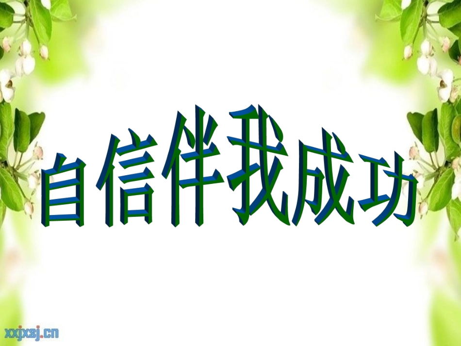 自信伴我成功PPT.ppt_第3页