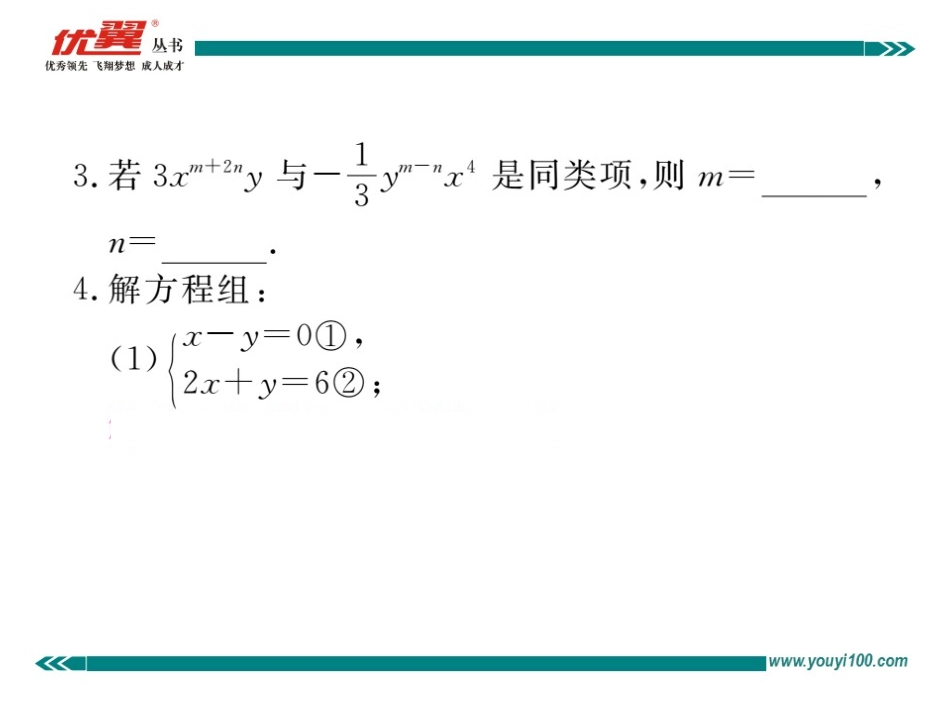 解题技巧专题：解二元一次方程组.ppt_第3页