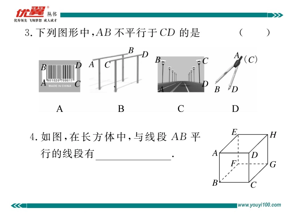 5.2.1  平行线.ppt_第3页