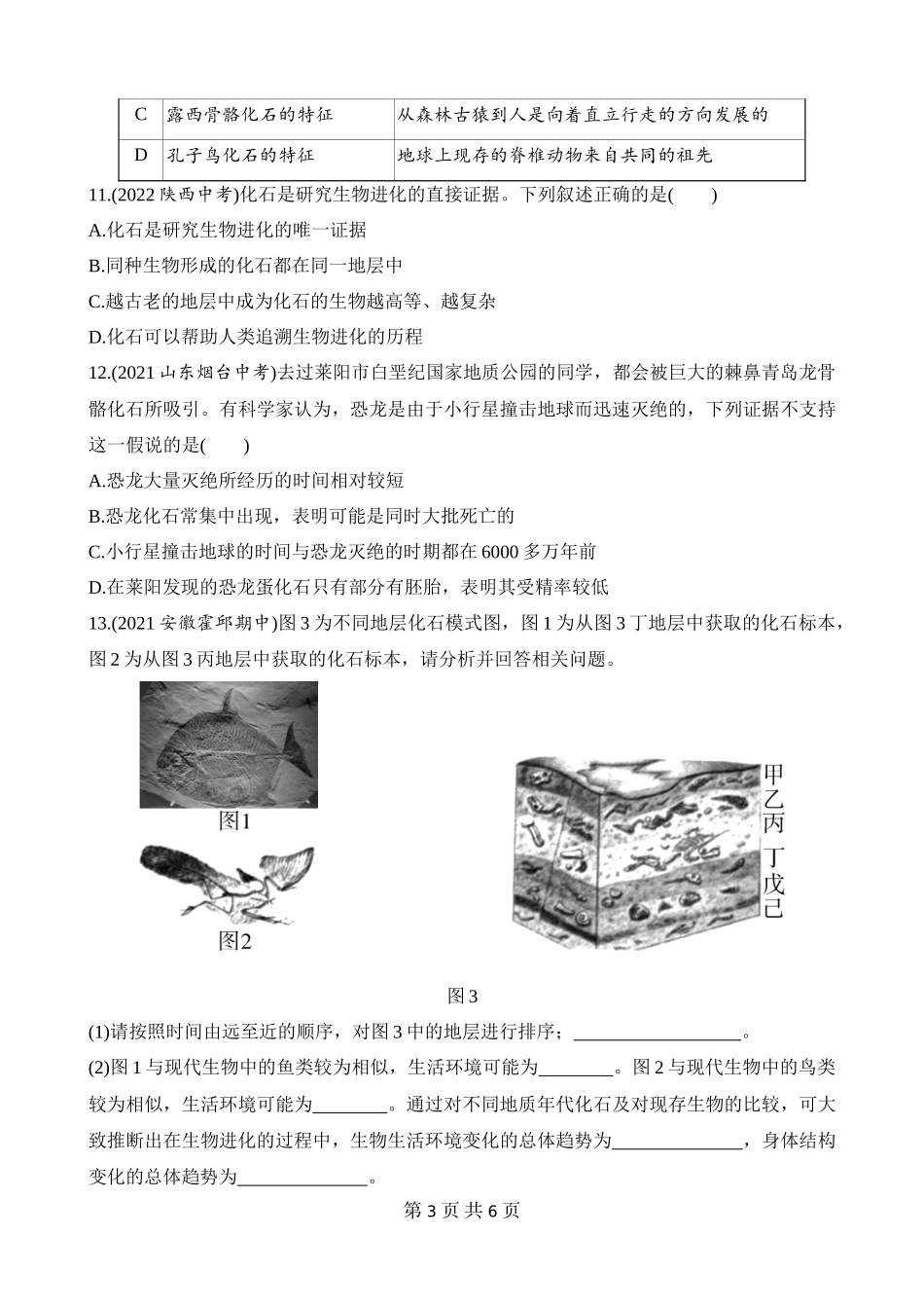 【八年级下册生物人教版】7.3.2 生物进化的历程 同步练习.docx_第3页