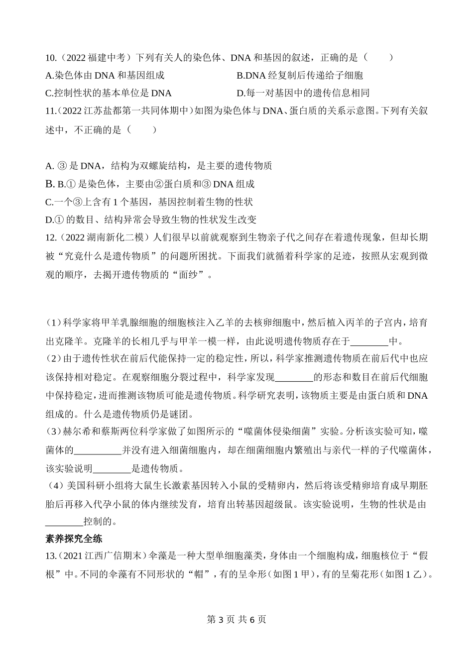 【八年级下册生物苏教版】8.22.1 DNA是主要的遗传物质 同步练习.docx_第3页