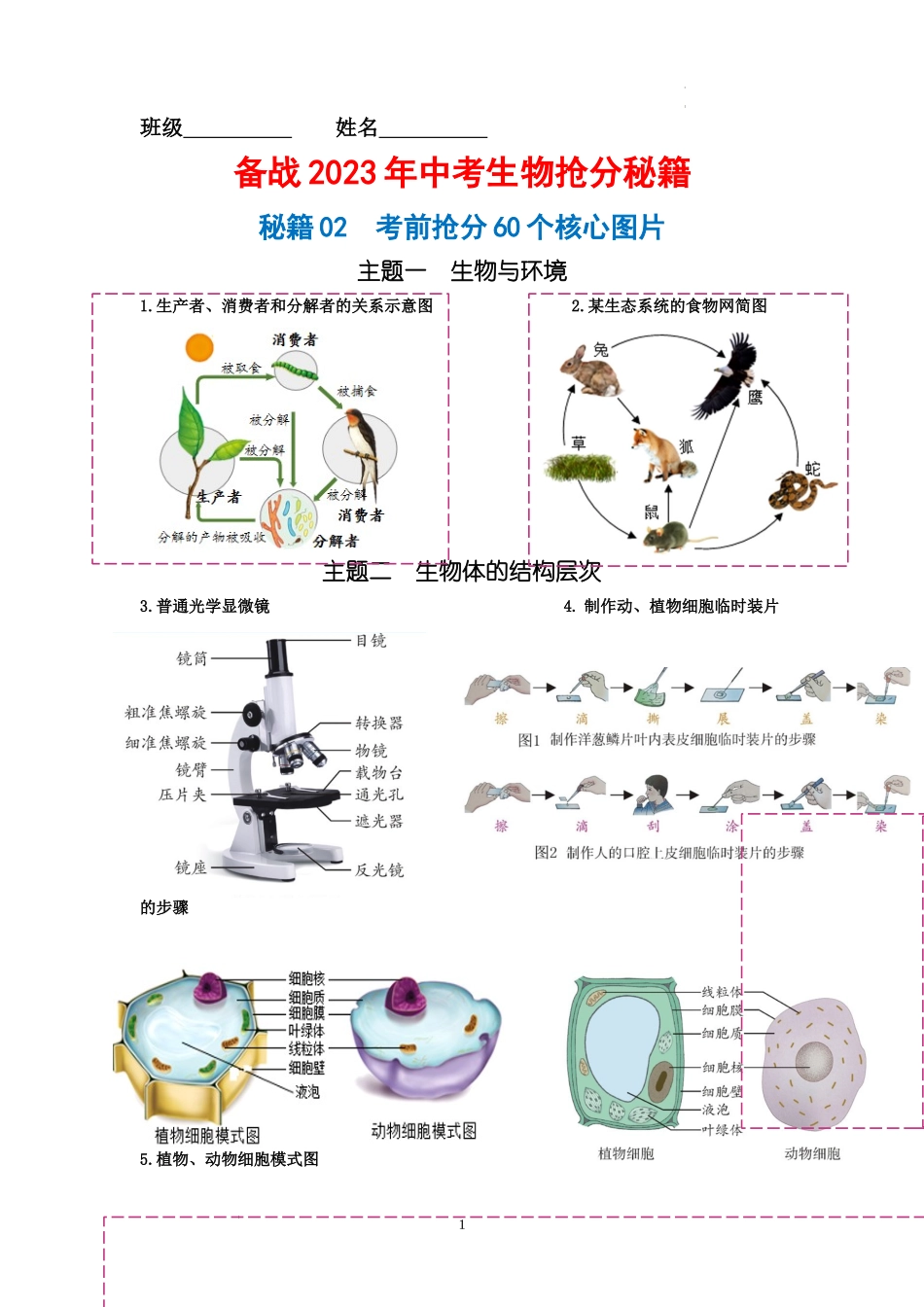 【中考生物】秘籍02 考前抢分60个核心图片.docx_第1页