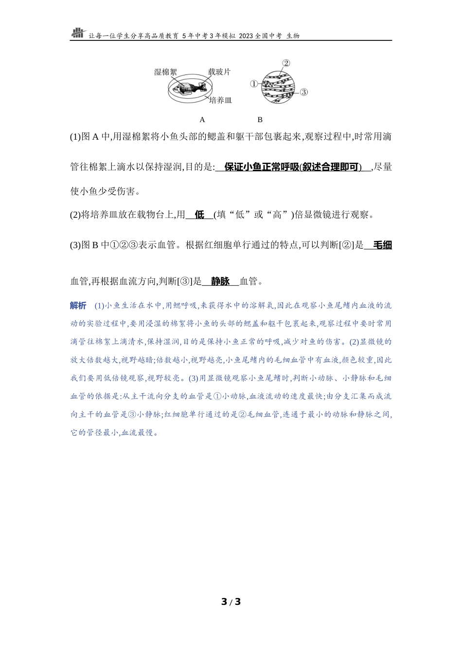 【中考生物】实验突破九　观察小鱼尾鳍内血液的流动.docx_第3页