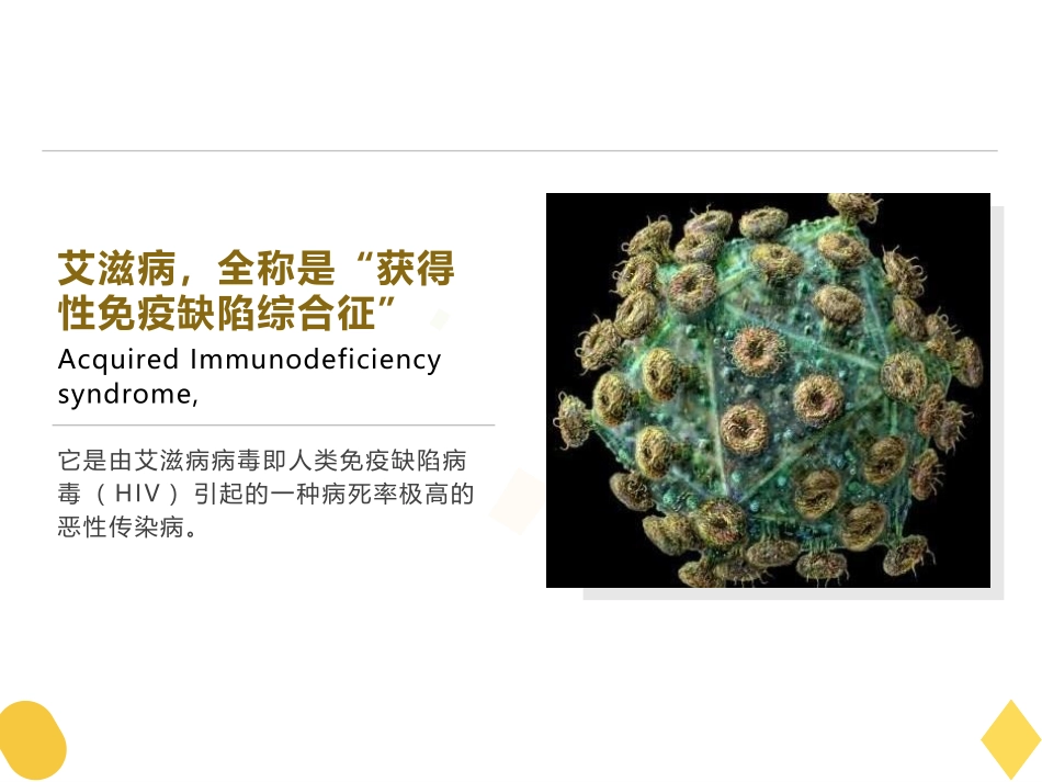 预防艾滋病.pptx_第2页