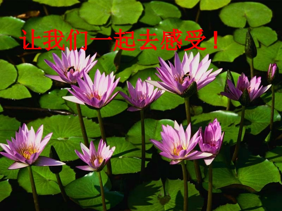 主题班会(献爱心).pptx_第3页