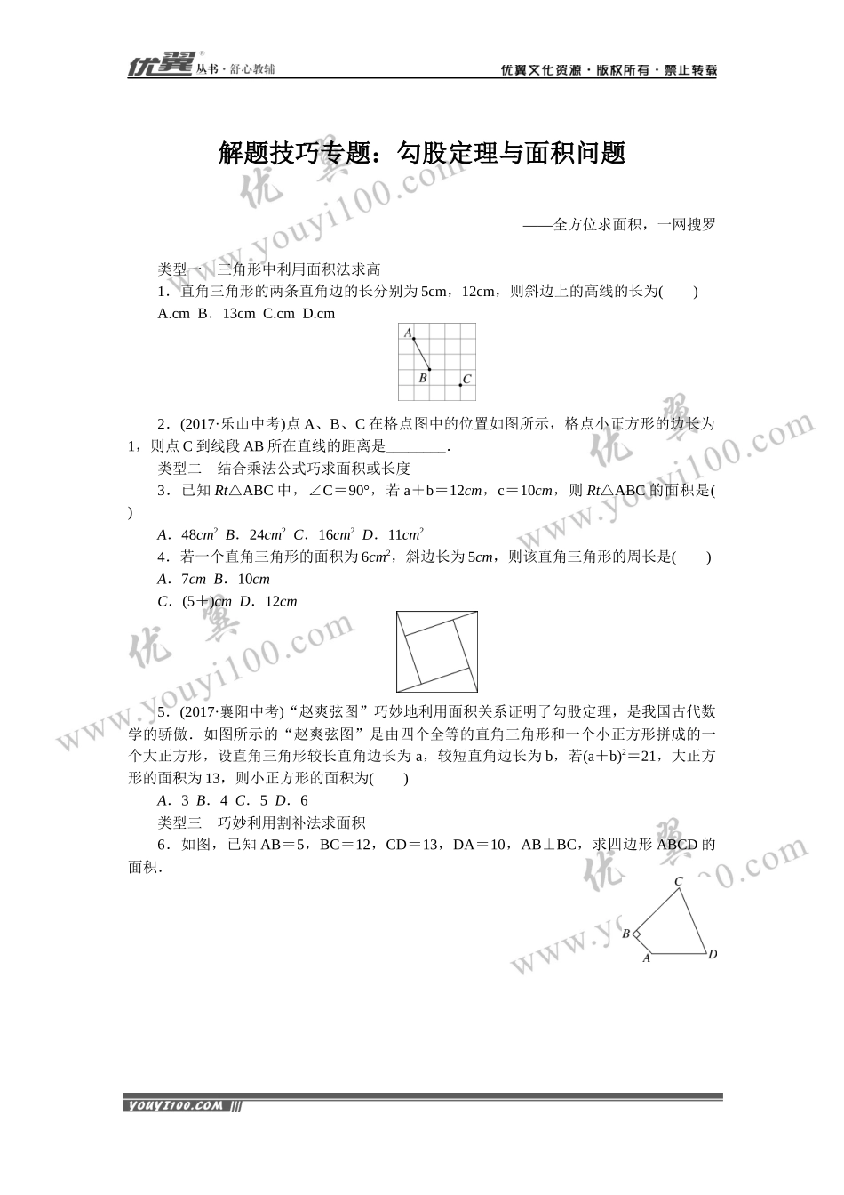 解题技巧专题：勾股定理与面积问题.docx_第1页