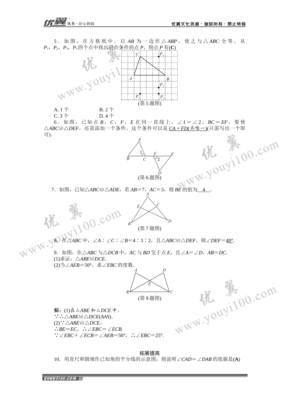 专题练习：全等三角形.docx_第2页