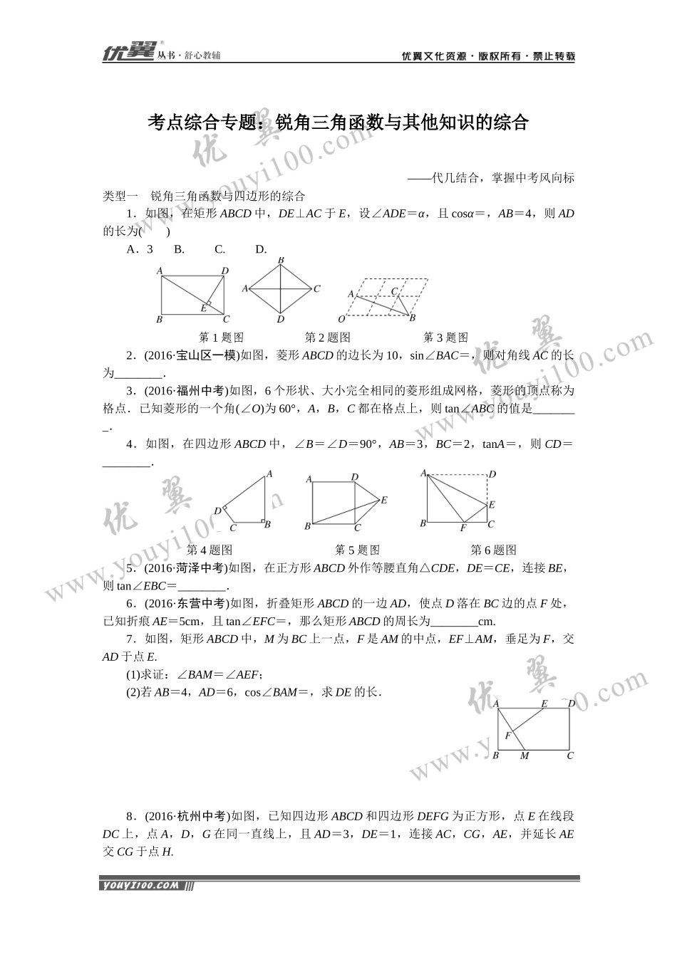 考点综合专题：锐角三角函数与其他知识的综合.docx_第1页