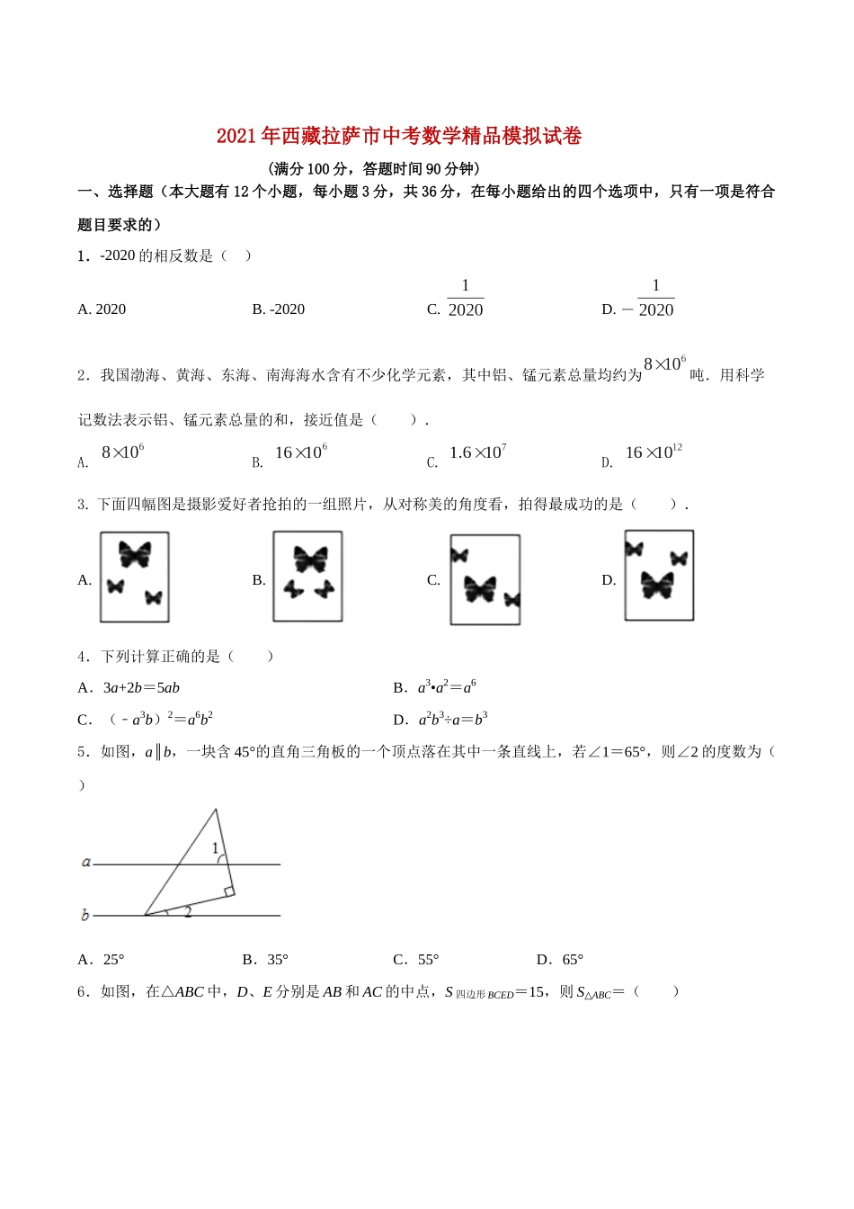 专题28（西藏拉萨市专用）（原卷版）-2021年31个地区中考数学精品模拟试卷.docx_第1页