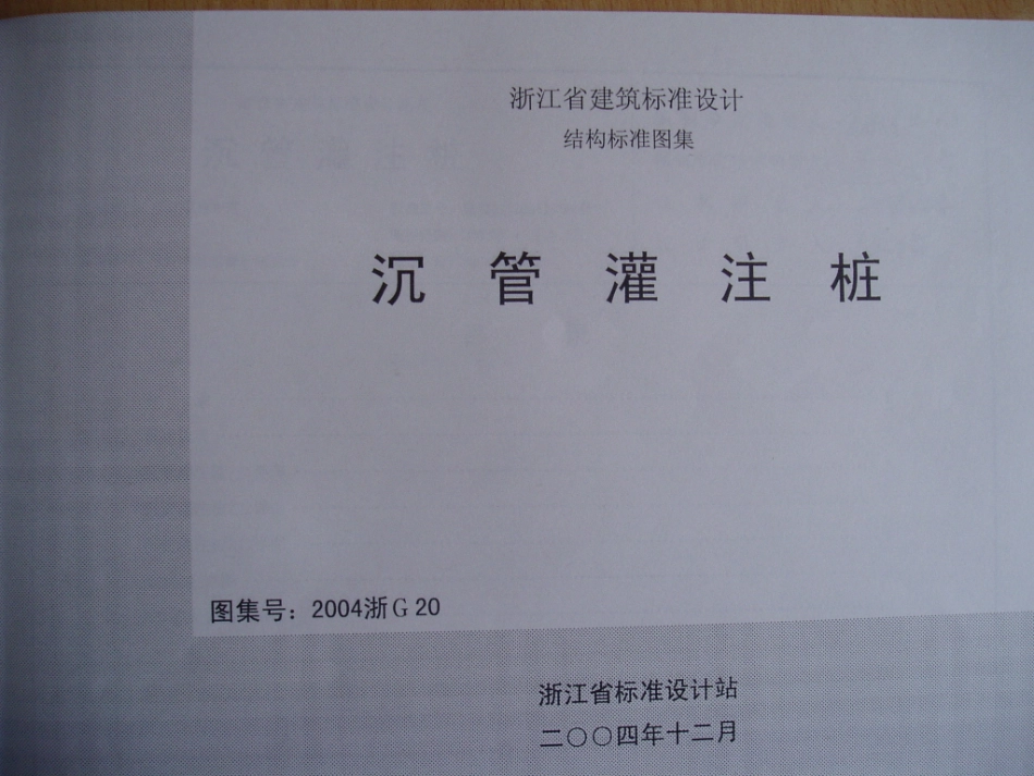 2004浙G20 沉管灌注桩.pdf_第1页