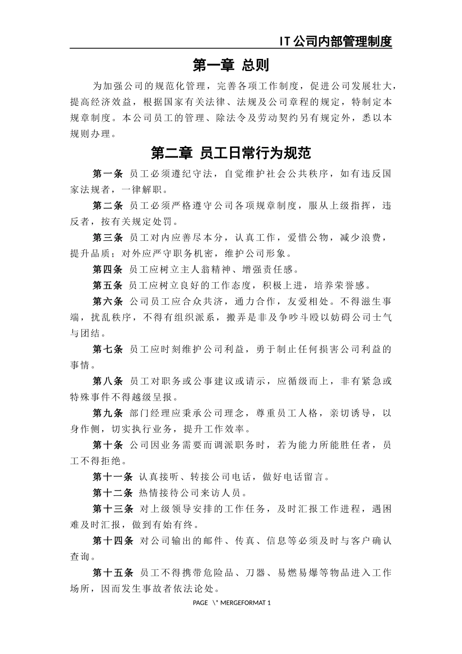 公司内部管理制度-IT公司.docx_第3页