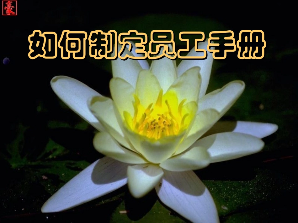 如何制定员工手册.ppt_第1页