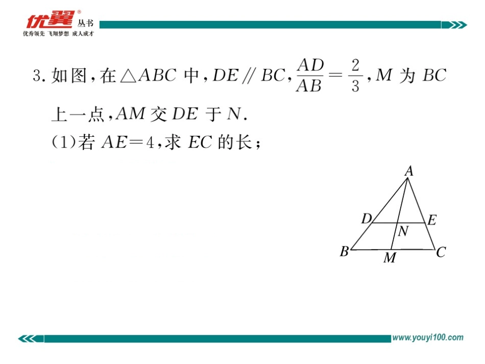 模型构建专题：相似三角形中的基本模型.ppt_第3页