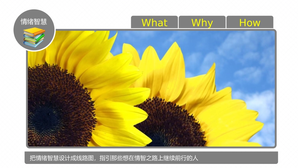 情绪管理 (11).pptx_第3页