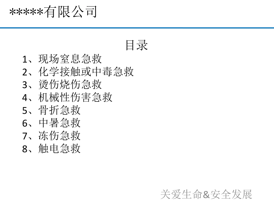 2023公司应急救援手册（28页）.pdf_第2页