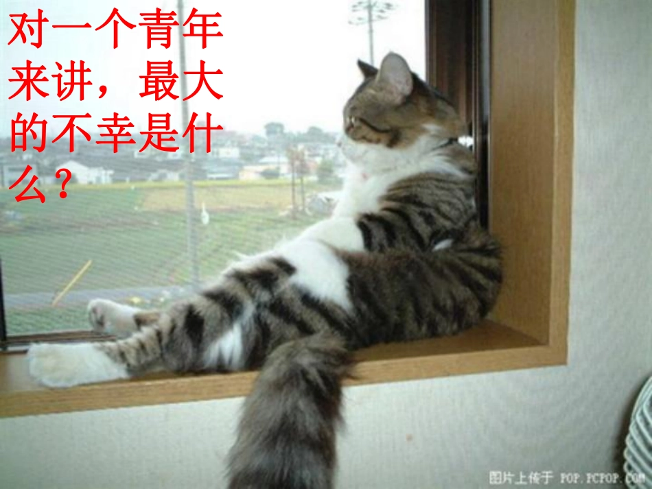 班会(1).pdf_第2页