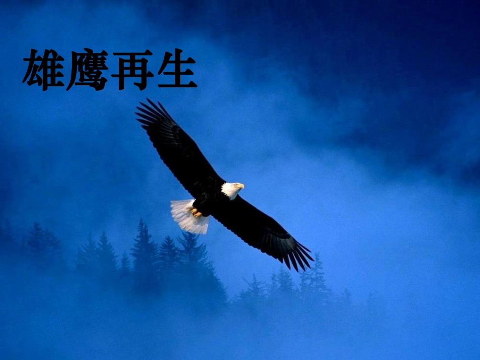 不断反思 不断进取班会.pdf_第2页