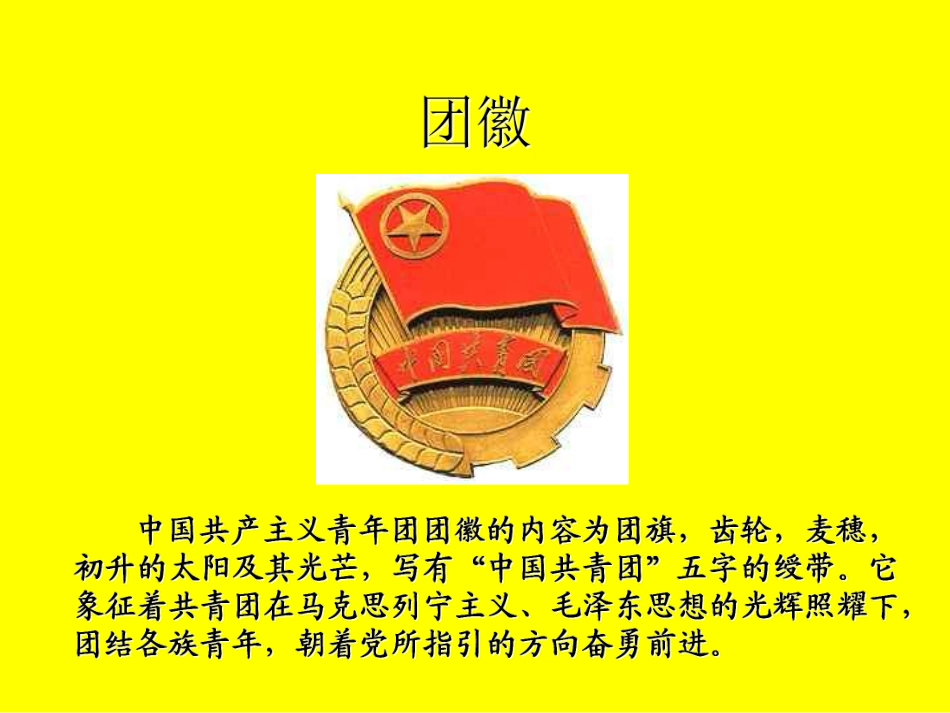 光荣啊,中国共青团  主题班会.pdf_第3页