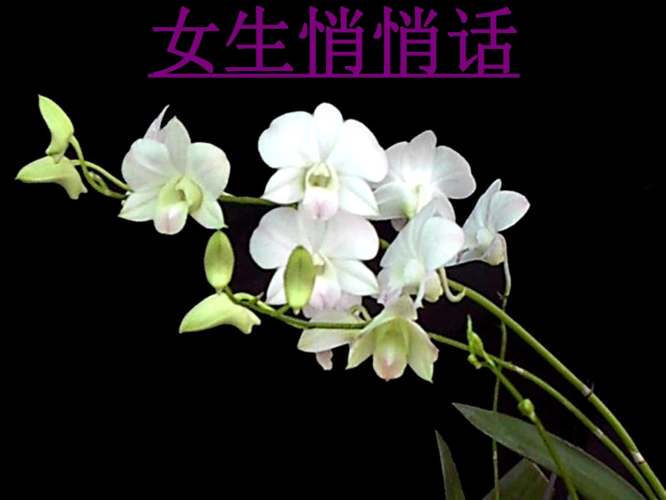 女生专题.pdf_第3页