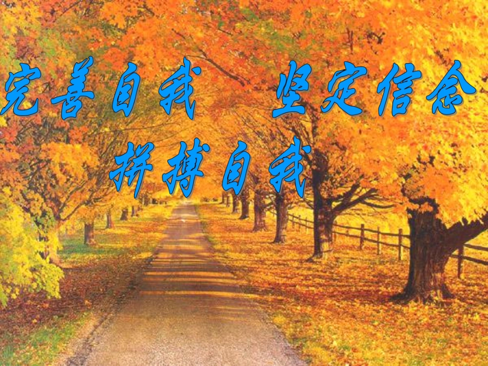 拼博.pdf_第1页