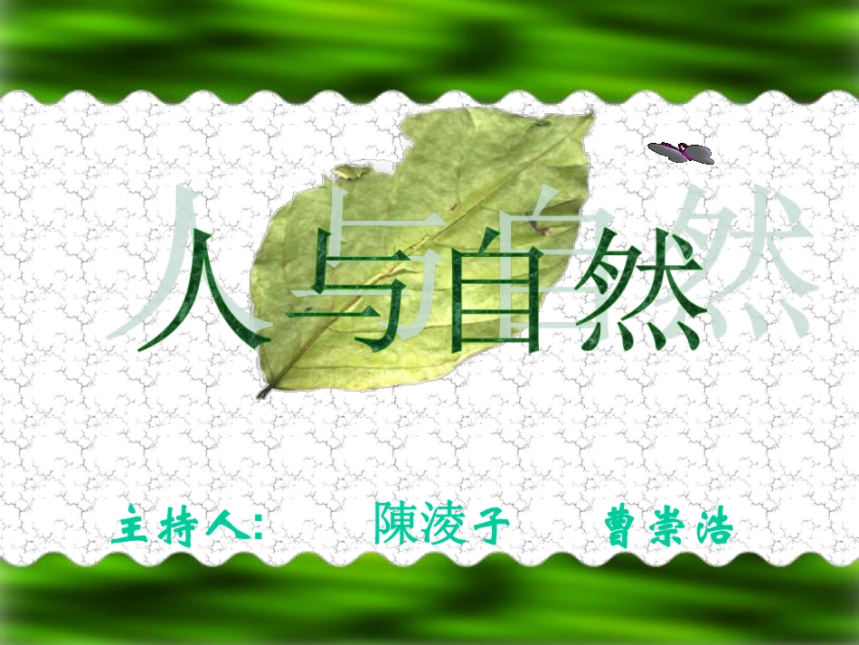 人与自然班队  主题班会.pdf_第1页