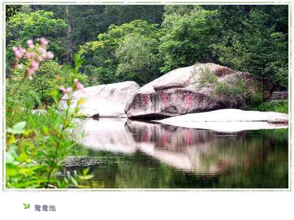人与自然班队  主题班会.pdf_第3页