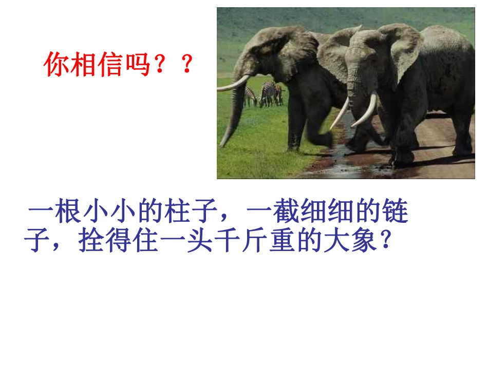 习惯养成主题班会  主题班会.pdf_第1页