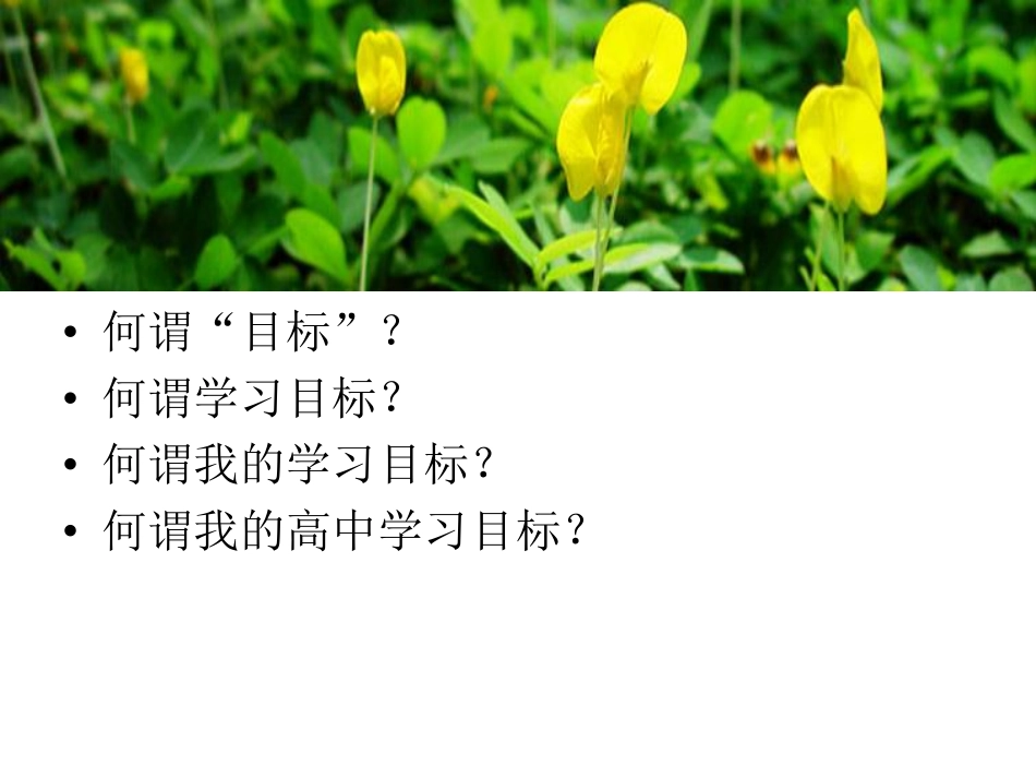 扬帆起航！.pdf_第3页