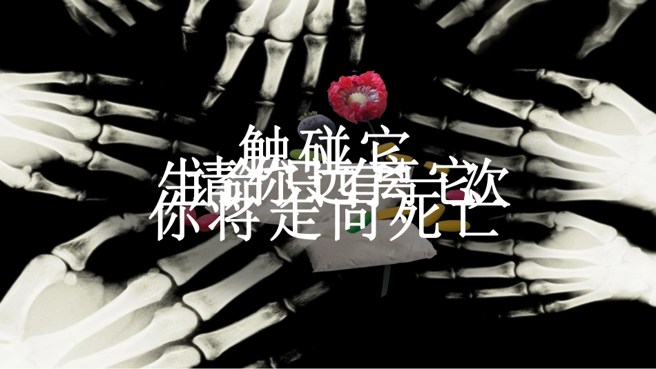 远离du品 健康成长.pdf_第2页