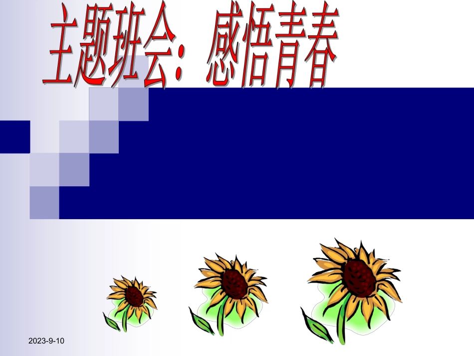 主题班会：感悟青春.pdf_第1页