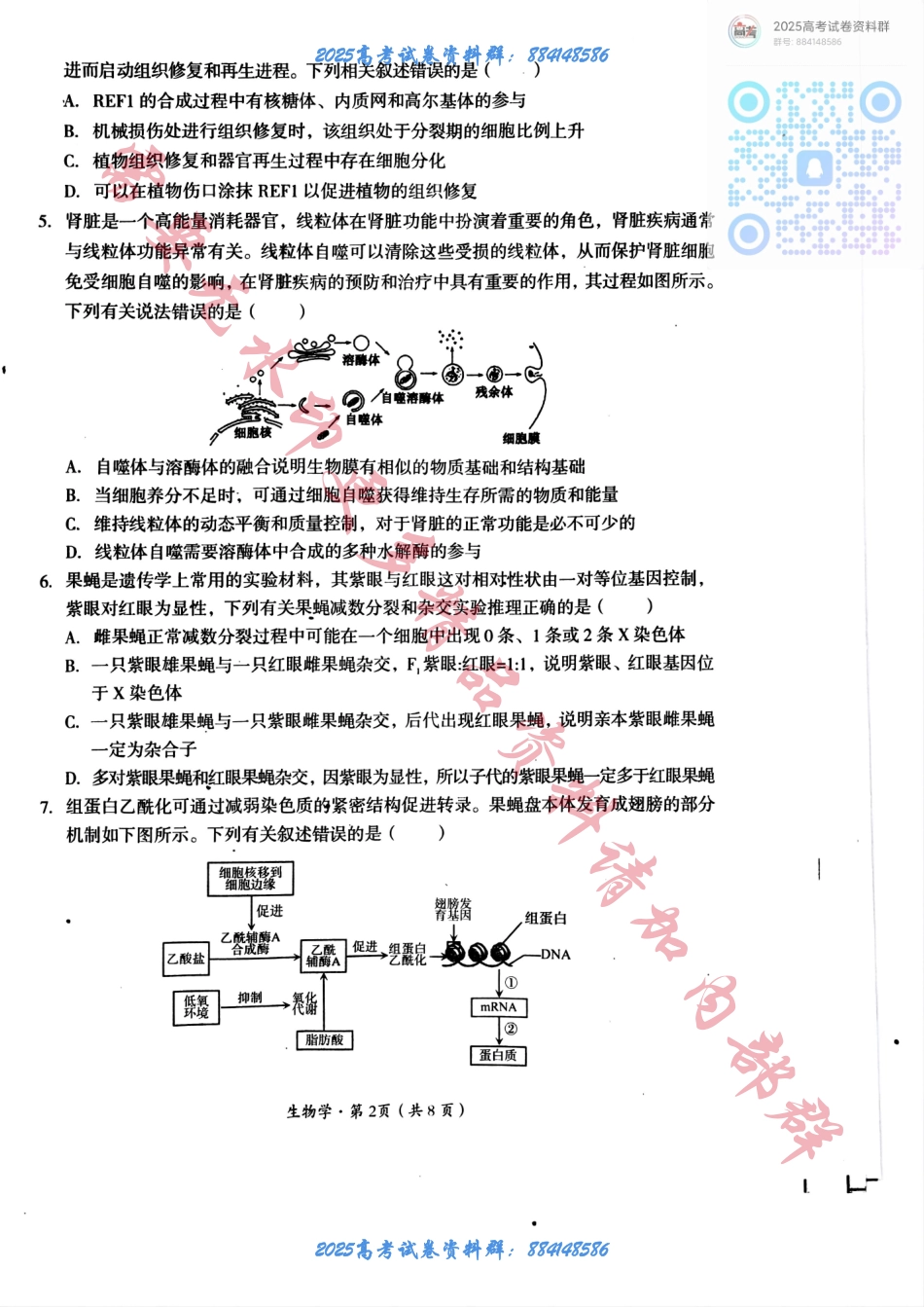 2025届四川省巴中市高三“零诊”考试生物试题 (1).pdf_第2页