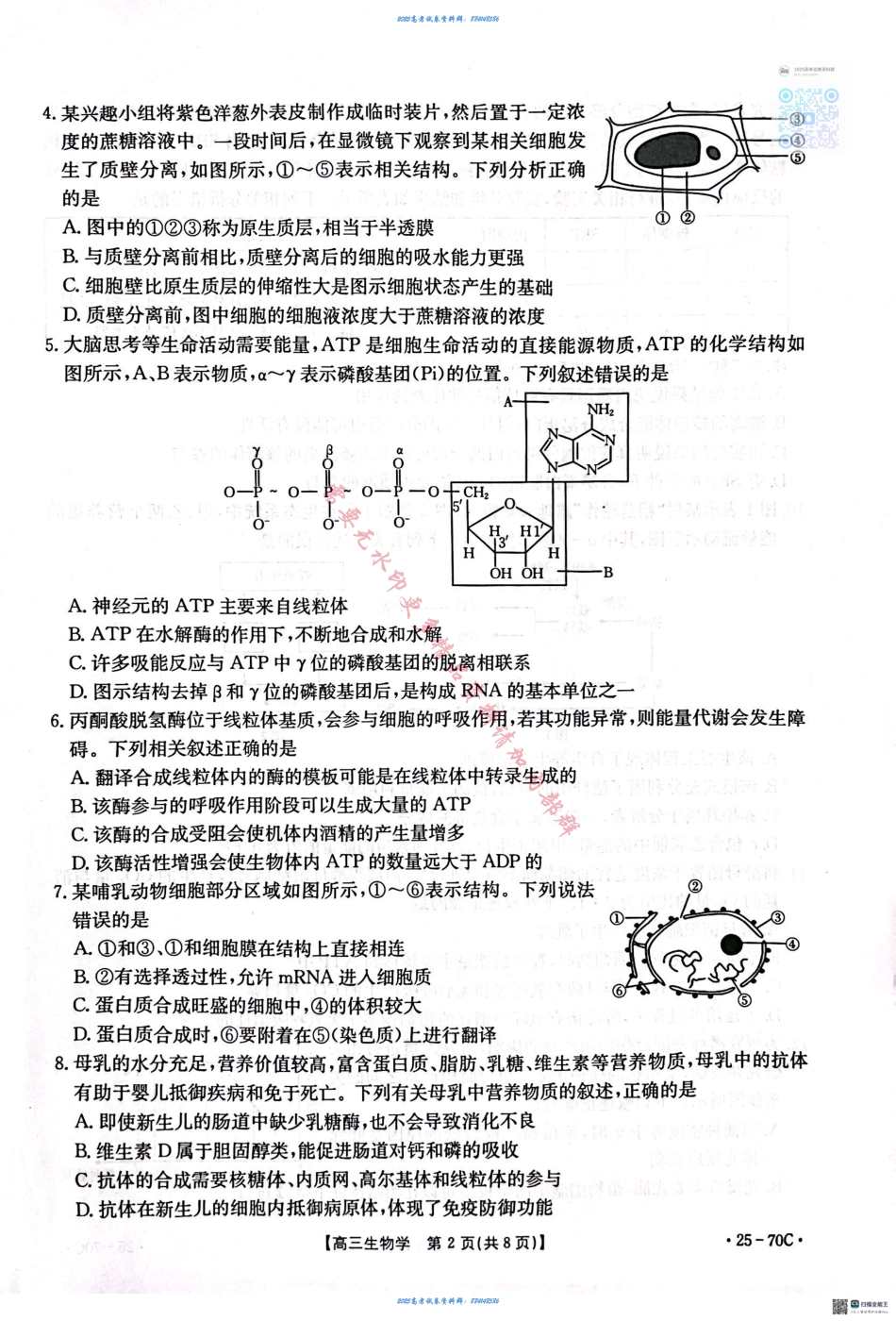 河北省邢台市质检联盟2024-2025学年高三上学期10月月考试题 生物 PDF版含答案.pdf_第2页