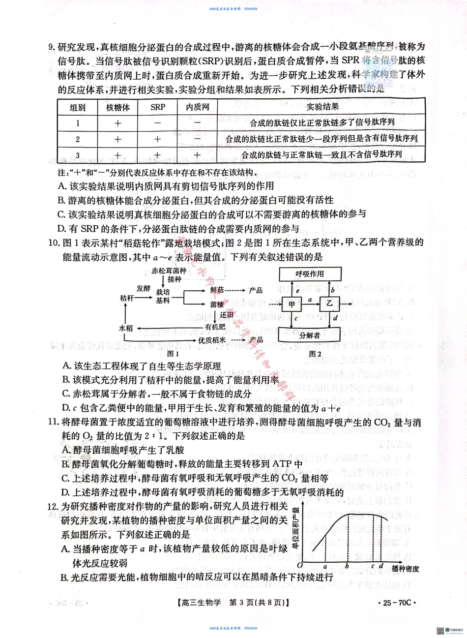 河北省邢台市质检联盟2024-2025学年高三上学期10月月考试题 生物 PDF版含答案.pdf_第3页