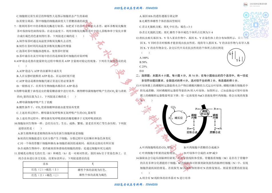 湖南省部分学校2024-2025学年高三上学期10月阶段检测联合考试生物试题+答案.pdf_第2页