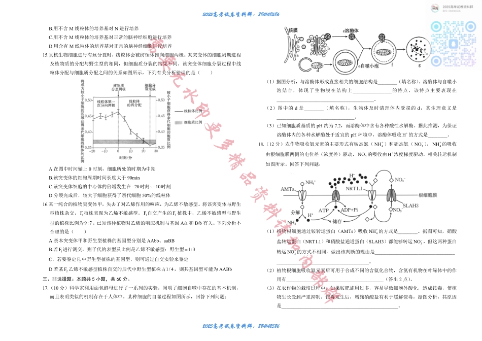 湖南省部分学校2024-2025学年高三上学期10月阶段检测联合考试生物试题+答案.pdf_第3页