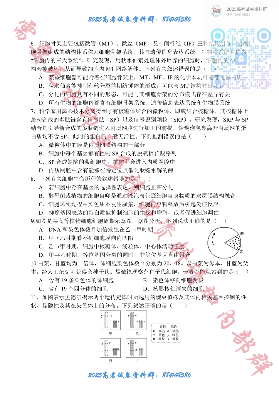 江苏省扬州中学2024-2025学年高三上学期10月月考试题 生物 Word版含答案.pdf_第2页