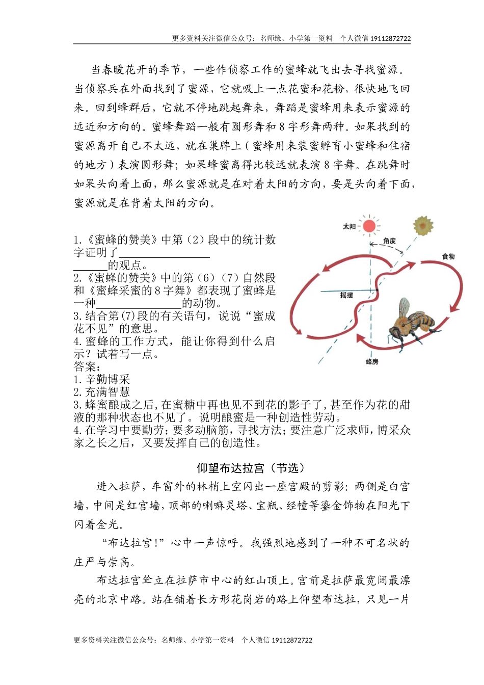 类文阅读-20 金字塔.doc_第2页