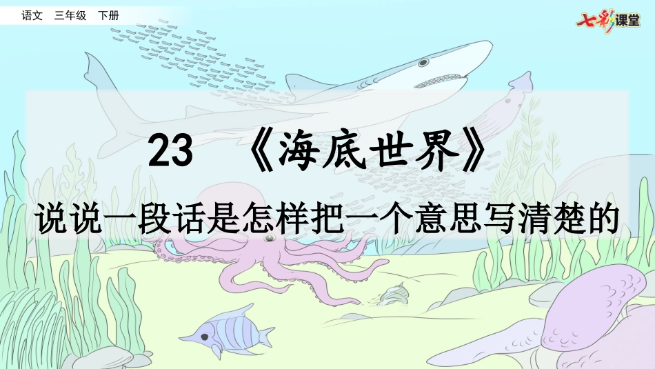 名师讲重点课件23海底世界（说说一段话是怎样把一个意思写清楚的）.pptx_第1页