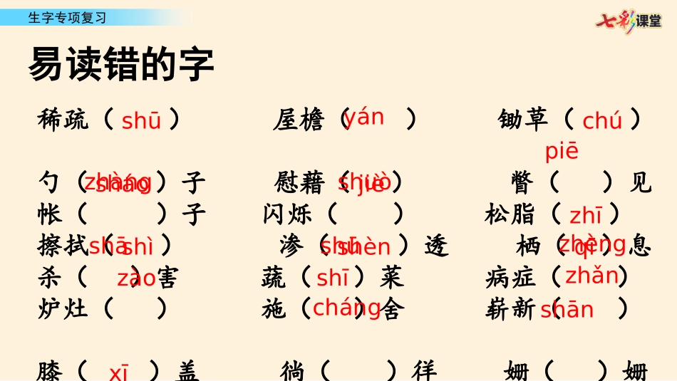 生字专项复习.pptx_第2页