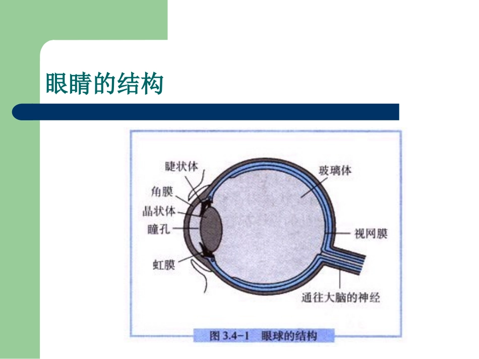 世界爱眼日ppt.ppt_第2页