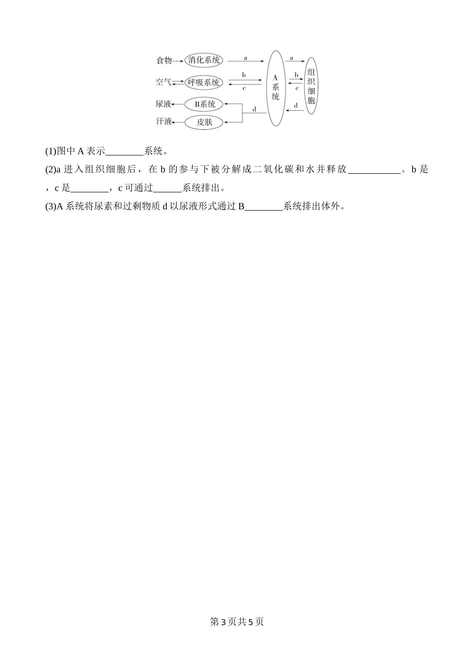 【七年级下册生物北师大版】4.11.1 人体产生的代谢废物 同步练习.docx_第3页