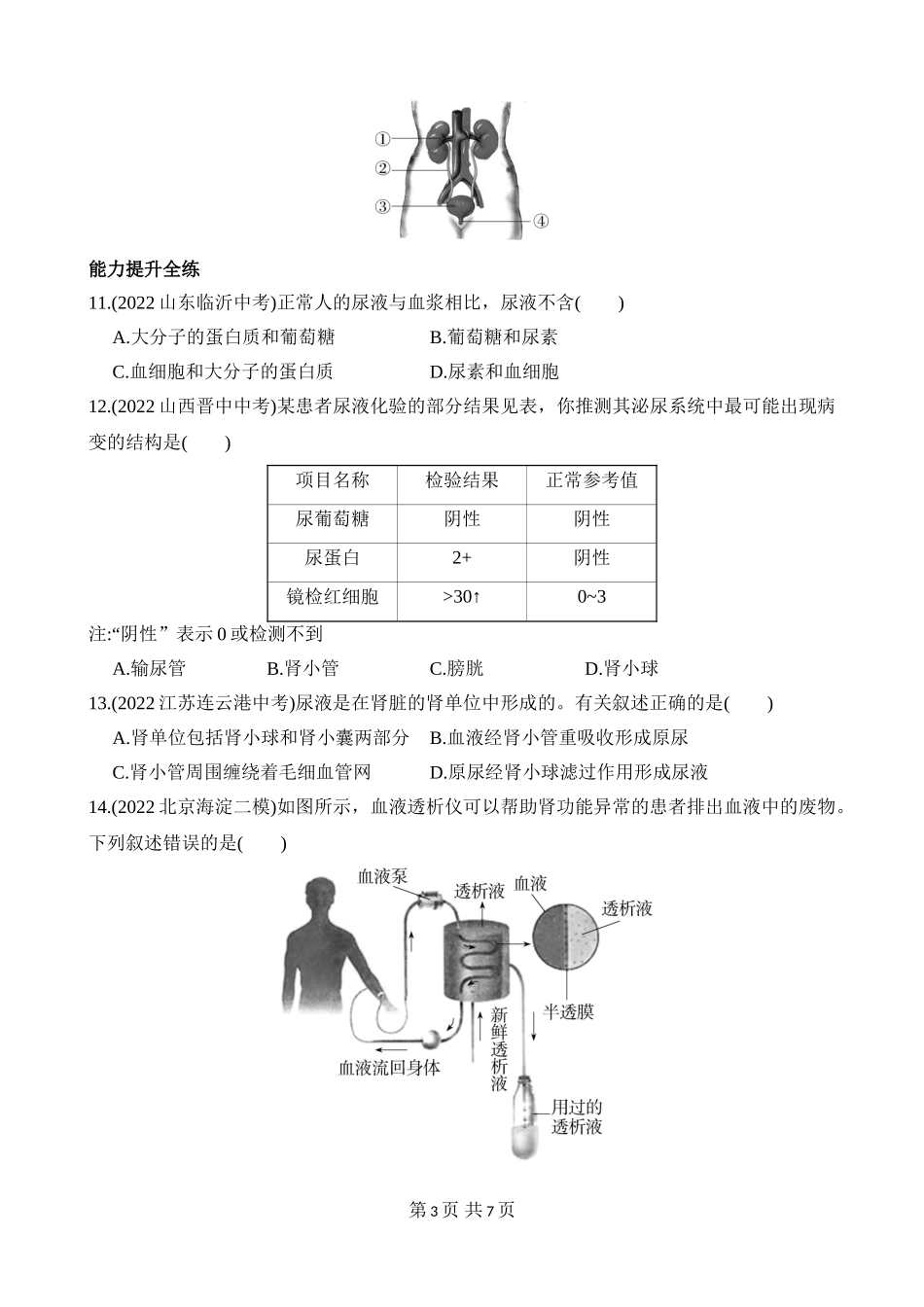 【七年级下册生物济南版】3.4.1 尿液的形成和排出 同步练习.docx_第3页