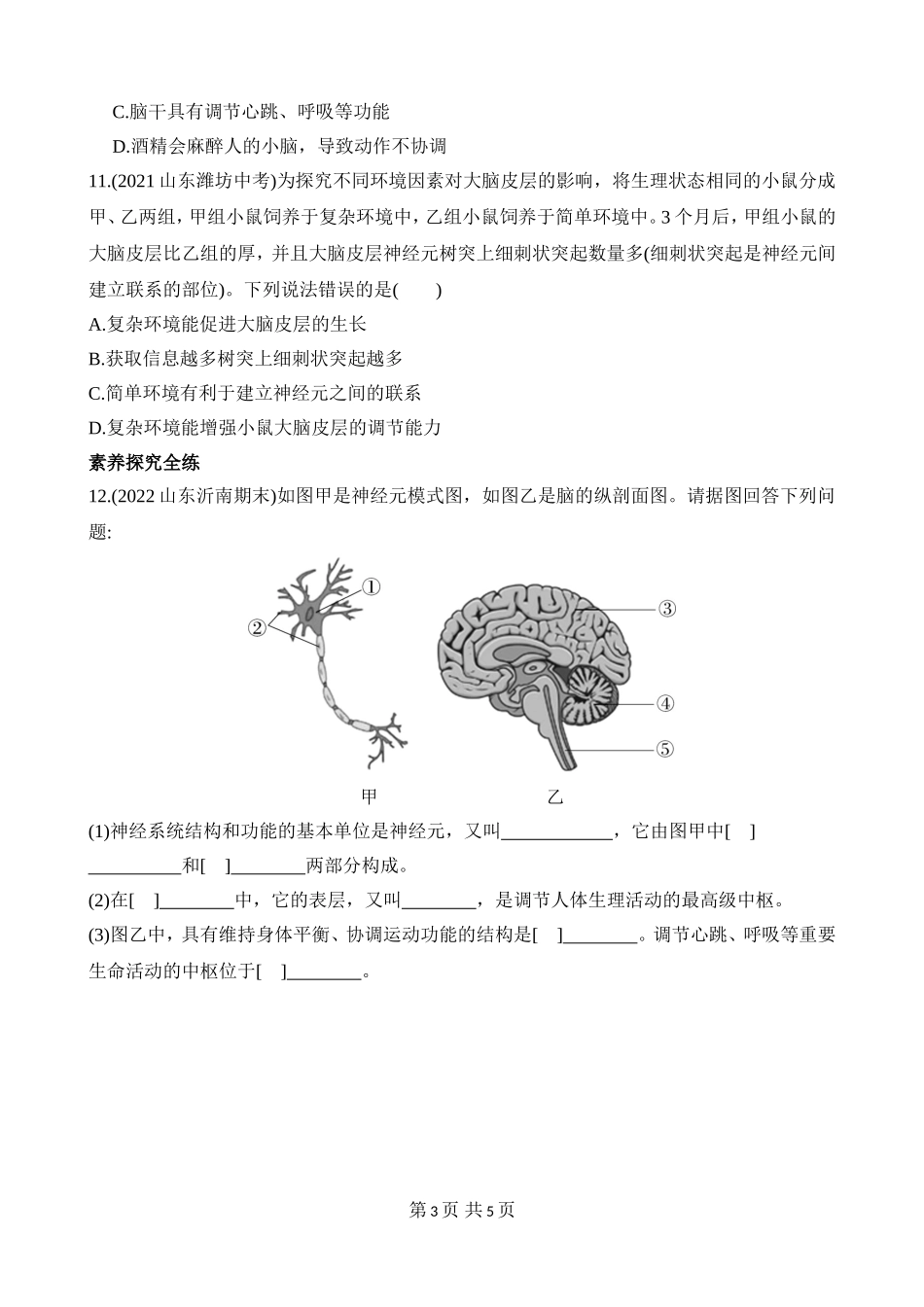 【七年级下册生物济南版】3.5.2 神经调节的结构基础 同步练习.docx_第3页