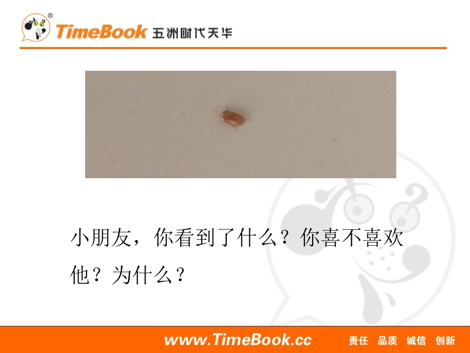我是一只小虫子.pptx_第2页