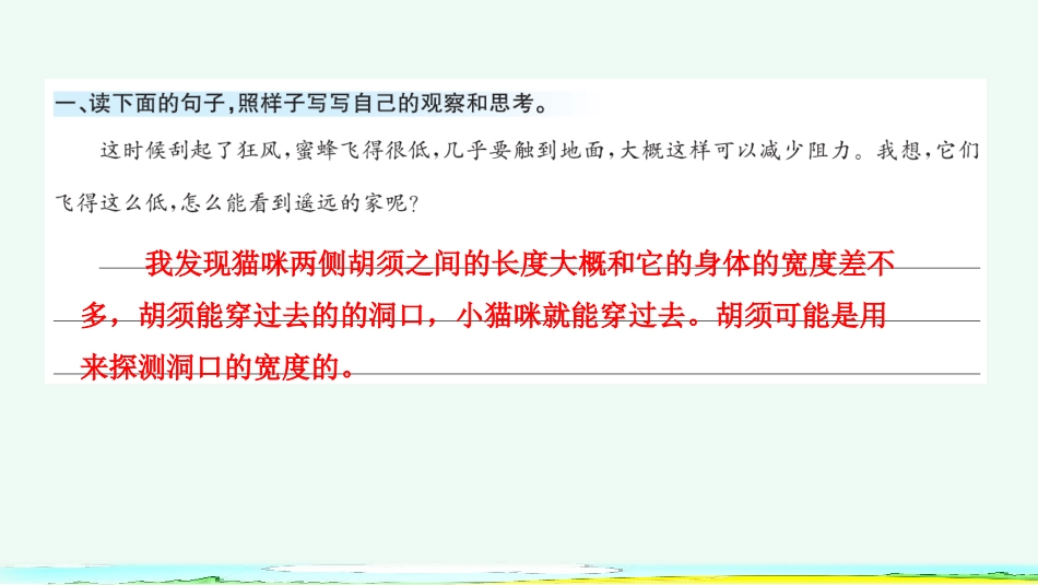 语文园地4（课课练）.pptx_第2页