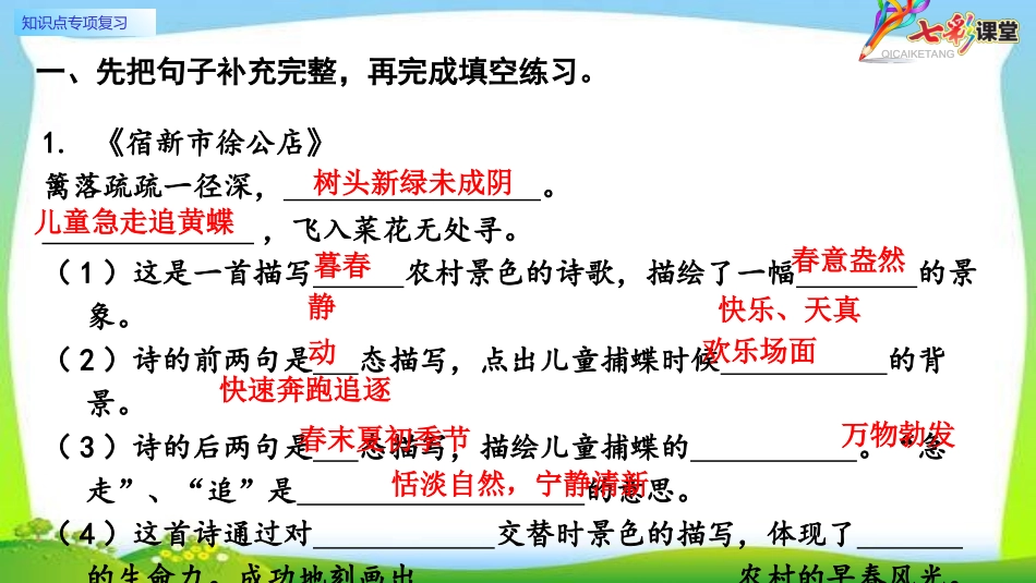 知识点专项复习.pptx_第2页